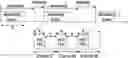 Fig. 01 - Managed flooding for bluetooth mesh networks