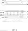 Fig. 05 - Apparatus and method for integrated access and backhaul in wireless communication system
