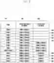 Fig. 04 - Method for capability negotiation and slice information mapping between network and terminal in 5G system