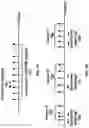Fig. 08 - Power state transition in the presence of uplink traffic