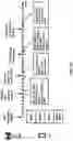 Fig. 24 - Power state transition in the presence of uplink traffic
