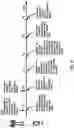 Fig. 28 - Power control for mobility handover in a radio system
