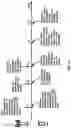 Fig. 22 - Control channel with multiple transmission reception points