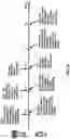 Fig. 30 - Control channel with multiple transmission reception points
