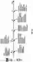 Fig. 33 - Control channel with multiple transmission reception points