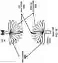 Fig. 17 - Activation indication of transmission configuration groups