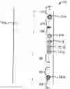 Fig. 01 - Devices and methods for synchronized signaling of the positions of moving pedestrians or vehicles