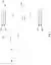 Fig. 02 - Radiation source apparatus