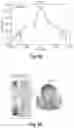Fig. 08 - Microwave antenna apparatus