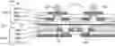 Fig. 01 - Multilayer flex circuit with non-plated outer metal layer