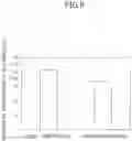 Fig. 09 - Printed circuit board and electronic device