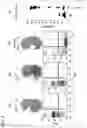 Fig. 03 - NON-HUMAN ANIMAL AND METHOD FOR PRODUCING SAME