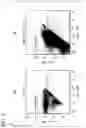 Fig. 10 - NON-HUMAN ANIMAL AND METHOD FOR PRODUCING SAME