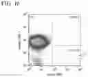 Fig. 11 - NON-HUMAN ANIMAL AND METHOD FOR PRODUCING SAME