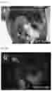 Fig. 04 - Method for producing chimeric animal