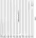 Fig. 04 - Non-human animals comprising a humanized coagulation factor 12 locus