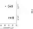 Fig. 06 - Non-human animals comprising a humanized coagulation factor 12 locus
