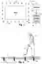 Fig. 02 - Composite material including a thermoplastic polymer, a pest food material, and a pesticide