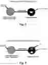 Fig. 08 - Composite material including a thermoplastic polymer, a pest food material, and a pesticide