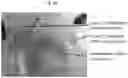 Fig. 06 - Magnetically immobilized microbiocidal enzymes