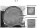 Fig. 07 - Magnetically immobilized microbiocidal enzymes