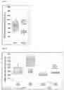 Fig. 35 - Method for producing fermented food, fermented food, and lactic acid bacteria-containing composition