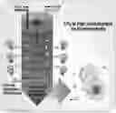 Fig. 01 - mutants produced using RGEN RNP and method for preparing pigment using the same