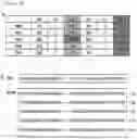 Fig. 05 - mutants produced using RGEN RNP and method for preparing pigment using the same