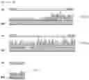 Fig. 08 - mutants produced using RGEN RNP and method for preparing pigment using the same