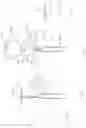 Fig. 03 - Fruit flavoring in the image of a fruit portion for introduction into a vessel for flavoring a fluid