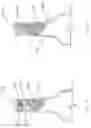 Fig. 07 - Fruit flavoring in the image of a fruit portion for introduction into a vessel for flavoring a fluid