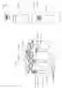 Fig. 12 - Fruit flavoring in the image of a fruit portion for introduction into a vessel for flavoring a fluid