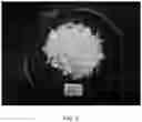 Fig. 06 - Frozen minced fish meat and method for manufacturing the same