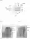 Fig. 03 - Flavor carriers for electronic vaping device