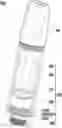 Fig. 01 - ELECTRONIC CIGARETTE AND METHOD FOR MANUFACTURING COMPONENT THEREOF