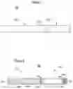 Fig. 07 - Functional control and age verification of electronic devices through visual communication