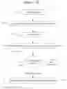 Fig. 13 - Functional control and age verification of electronic devices through visual communication