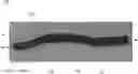 Fig. 01 - PROTECTIVE HEADBAND