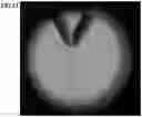Fig. 22 - Tweezers