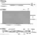 Fig. 07 - Bedding and bedding cover sheet