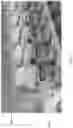 Fig. 15 - Secure product dispenser