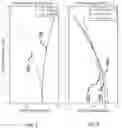Fig. 03 - Optical coherence tomography imaging systems, handheld probes, and methods that use a field curvature to match a curved surface of tissue