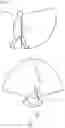 Fig. 03 - Device for the determination and analysis of the motor skill and the oculomotor skill of a person