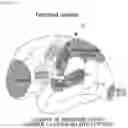 Fig. 07 - MEDICAL IMAGE PROCESSING SYSTEM AND METHOD FOR PERSONALIZED BRAIN DISEASE DIAGNOSIS AND STATUS DETERMINATION
