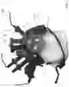 Fig. 02 - MAGNETIC MEASURING DEVICE AND HEAD-MOUNTED MAGNETIC MEASURING DEVICE