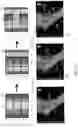 Fig. 20 - Orientation independent sensing, mapping, interface and analysis systems and methods