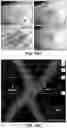 Fig. 101 - FLEXIBLE AND STRETCHABLE ELECTRONIC SYSTEMS FOR EPIDERMAL ELECTRONICS