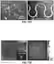 Fig. 104 - FLEXIBLE AND STRETCHABLE ELECTRONIC SYSTEMS FOR EPIDERMAL ELECTRONICS
