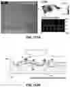Fig. 147 - FLEXIBLE AND STRETCHABLE ELECTRONIC SYSTEMS FOR EPIDERMAL ELECTRONICS