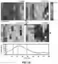 Fig. 26 - FLEXIBLE AND STRETCHABLE ELECTRONIC SYSTEMS FOR EPIDERMAL ELECTRONICS